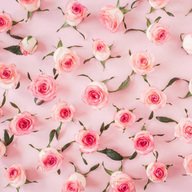 Düz pembe gül tomurcukları ve pembe arka planda yapraklar vardı. Üst görünüm çiçek dokusu.