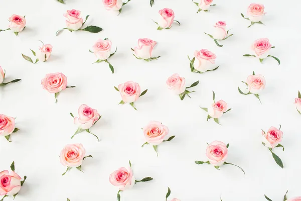 Vlak Leggen Roze Roos Bloemknoppen Bladeren Patroon Witte Achtergrond Bovenaanzicht — Stockfoto