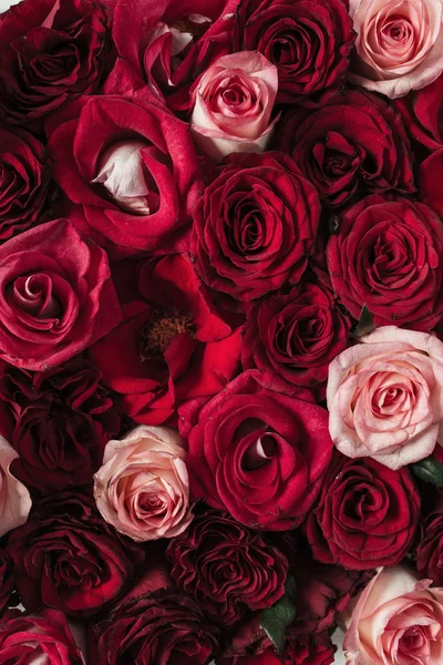 Rode Roze Roos Bloemen Patroon Achtergrond Bovenaanzicht Bloemige Textuur — Stockfoto