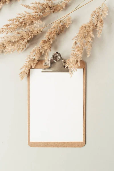 Blank Sheet Clipboard Empty Copy Space Reeds Branch Neutral Background — Stock Photo, Image