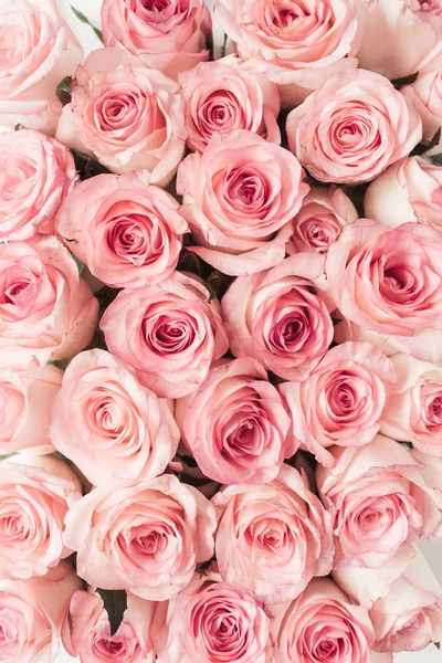 Roze Roos Bloemen Patroon Achtergrond Bovenaanzicht Bloemige Textuur — Stockfoto