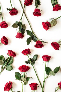 Beyaz arka planda düz kırmızı gül deseni vardı. Üst görünüm çiçek dokusu.