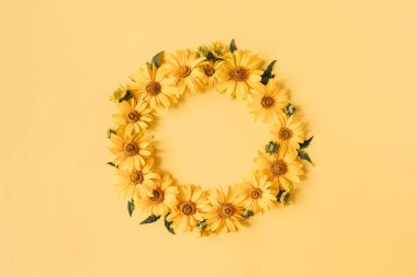 Düz çerçeve kenarlığı, sarı arkaplanda sarı papatya çiçeklerinden yapılmış boş bir kopya alanı modeli. Üst görünüm çiçek kavramı.