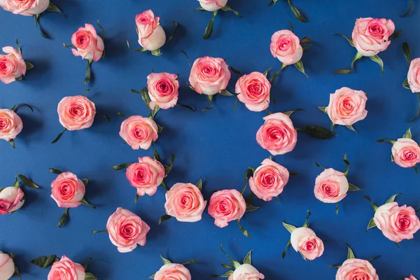 Mavi Arka Planda Pembe Gül Tomurcuklarının Yuvarlak Çerçeve Sınırı Boş — Stok fotoğraf