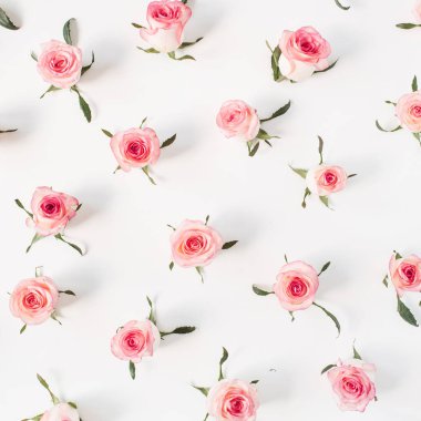 Düz pembe gül tomurcukları ve beyaz arka planda yapraklar vardı. Üst görünüm çiçek dokusu.