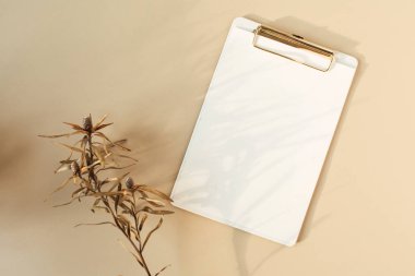 Boş kopya alanı olan boş kağıt pano ve pastel bej arka planda kuru çiçek dalı. Düz konum, üst görünüm minimal ev işi şablonu.