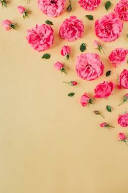 Sarı arka planda pembe gül çiçekleri var. Düz yatış, üst görünüm.