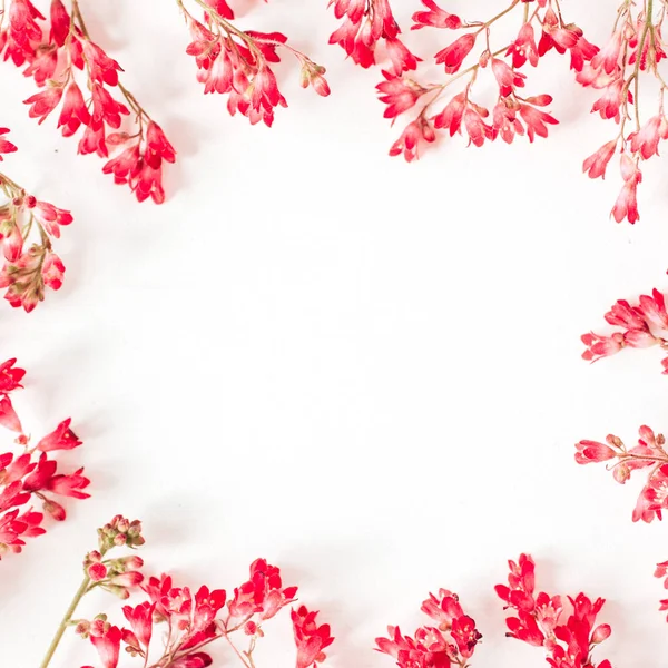 Барвисті Червоні Квіти Білому Тлі Плоский Простір Вигляд Зверху Квіткова — стокове фото