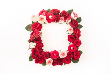 Beyaz arkaplanda pembe ve kırmızı gül çiçeklerinden yapılmış boş bir kopya alanı olan düz çerçeve kenarı. Üst görünüm çiçek kavramı.