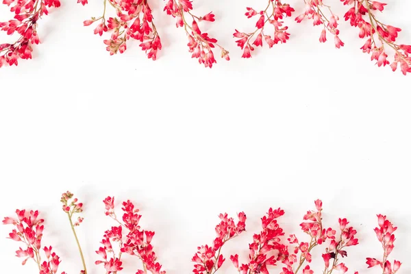 Coloridas Flores Rojas Silvestres Sobre Fondo Blanco Colocación Plana Borde —  Fotos de Stock