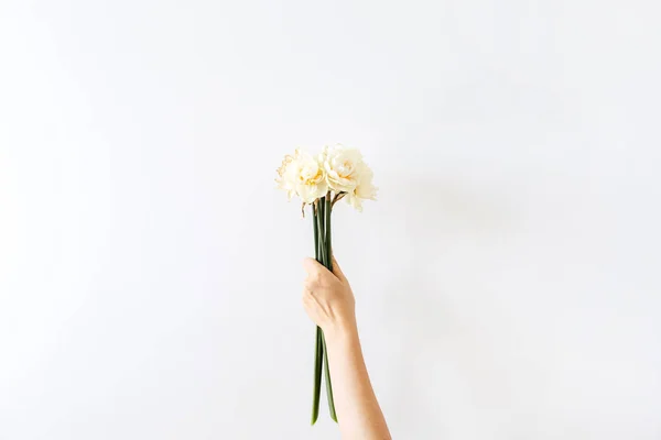 Mano Femenina Sostiene Ramo Flores Narcisas Sobre Fondo Blanco Puesta — Foto de Stock