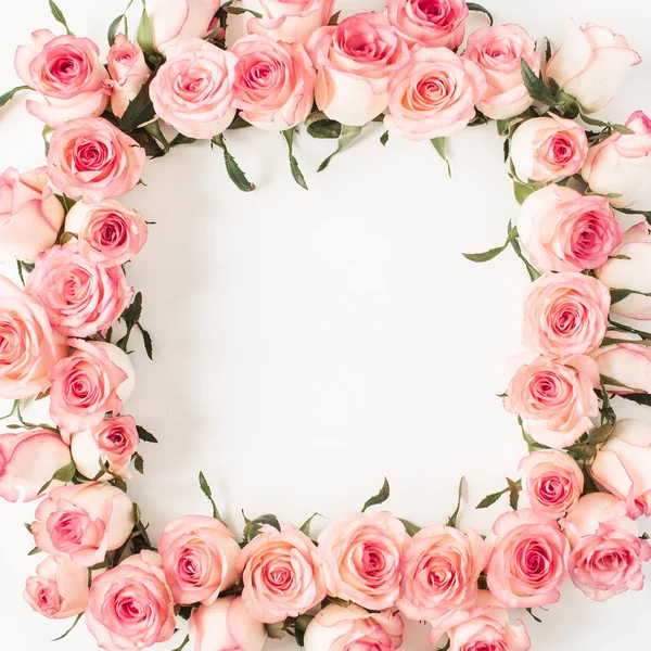 Τετράγωνο Πλαίσιο Του Ροζ Τριαντάφυλλο Μπουμπούκια Λουλουδιών Λευκό Φόντο Κενό — Φωτογραφία Αρχείου
