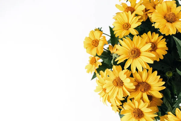 Yellow Daisy Flowers Bouquet Isolated White Background Holiday Valentine Day — Stock Photo, Image