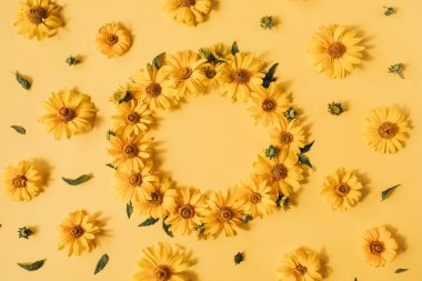 Düz çerçeve kenarlığı, sarı arkaplanda sarı papatya çiçeklerinden yapılmış boş bir kopya alanı modeli. Üst görünüm çiçek kavramı.