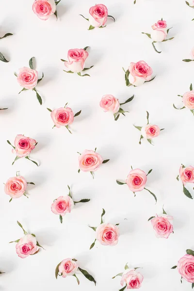 Vlak Leggen Roze Roos Bloemknoppen Bladeren Patroon Witte Achtergrond Bovenaanzicht — Stockfoto