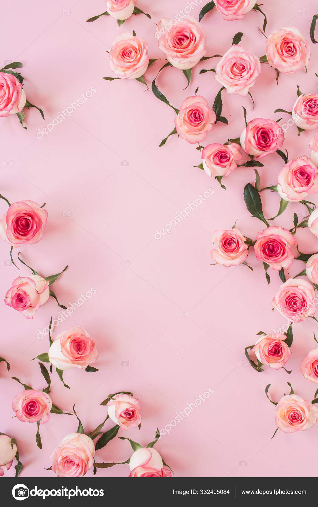 Floral Composition Pink Rose Flower Buds Pink Background Flat Lay Stock  Photo by ©maximleshkovich 332405084