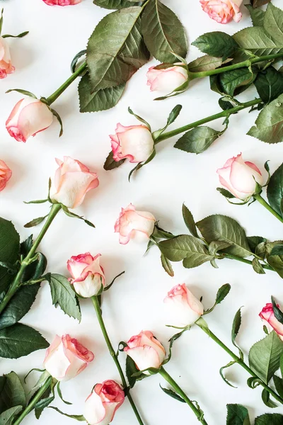 Composición Floral Con Flores Rosadas Textura Patrón Sobre Fondo Blanco — Foto de Stock