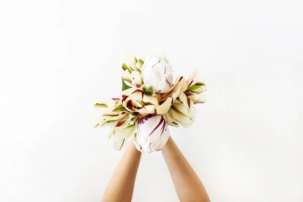白い背景にチューリップの花花束を保持する女性の手 フラットレイアウト トップビュー最小限の花の組成 — ストック写真