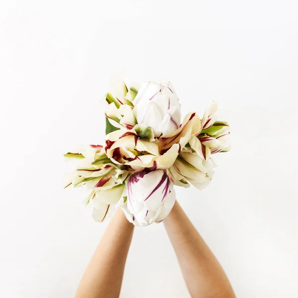 Manos Femeninas Sosteniendo Flores Tulipán Ramo Sobre Fondo Blanco Puesta — Foto de Stock