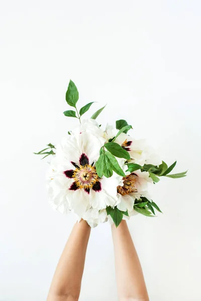 Női Kéz Kezében Fehér Bazsarózsa Virágok Fehér Háttér Lapos Fekvésű — Stock Fotó