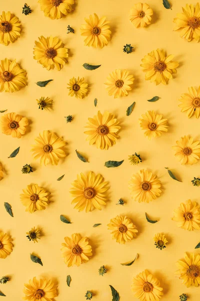 Květinové Složení Žlutými Květinovými Pupeny Vzor Textury Žlutém Pozadí Flatlay — Stock fotografie