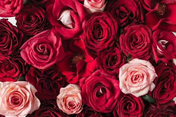 Квіткова Композиція Червоними Рожевими Квітами Характерна Текстури Фону Вигляд Зверху — стокове фото