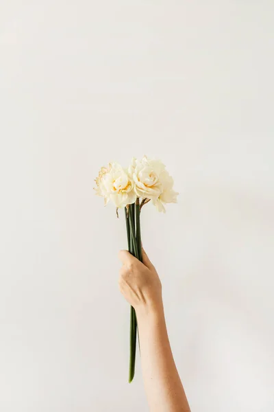 Жіноча Рука Тримає Букет Нарцисів Білому Тлі Плоский Шар Вигляд — стокове фото