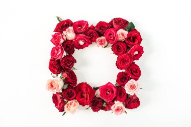 Beyaz arkaplanda pembe ve kırmızı gül çiçeklerinden yapılmış boş bir kopya alanı olan düz çerçeve kenarı. Üst görünüm çiçek kavramı.