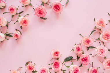 Düz gül tomurcukları pembe arka planda yatıyordu. Üst görünüm en küçük çiçek bileşimi.