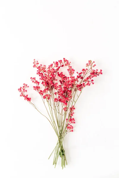 Barevné Červené Květy Kytice Bílém Pozadí Minimální Květinový Koncept — Stock fotografie