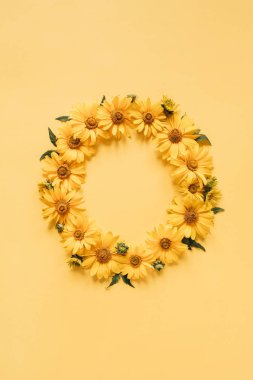 Düz çerçeve kenarlığı, sarı arkaplanda sarı papatya çiçeklerinden yapılmış boş bir kopya alanı modeli. Üst görünüm çiçek kavramı.