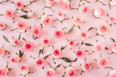 Floral composition with pink rose flower buds and leaves pattern texture on pink background. Flatlay, top view.