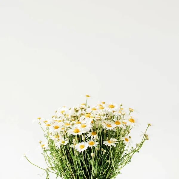 Ромашкові Ромашкові Квіти Букет Білому Тлі — стокове фото