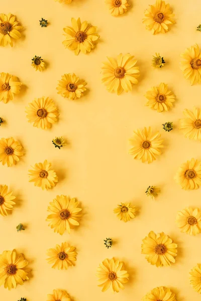 Kulatý Rám Hrany Žluté Sedmikrásky Květy Žlutém Pozadí Prázdné Kopírovací — Stock fotografie