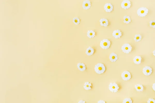 黄色背景上的白色菊花图案 顶视图最小花卉构图 — 图库照片