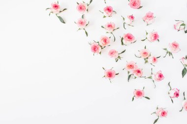 Çiçek kompozisyonu pembe gül tomurcukları ve beyaz arka planda yapraklar. Flatlay, üst görünüm.