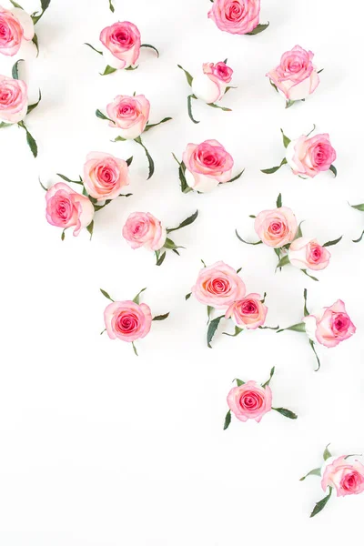 Colocación Plana Rosa Rosa Brotes Flores Hojas Patrón Sobre Fondo — Foto de Stock