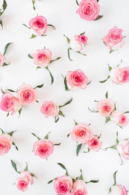 Düz pembe gül tomurcukları ve beyaz arka planda yapraklar vardı. Üst görünüm çiçek dokusu.