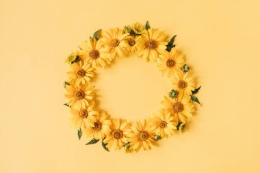 Sarı arka planda sarı papatya çiçeklerinin yuvarlak çerçeve sınırı. Boş fotokopi alanı oluştur. Düz konum, üst görünüm çiçek kompozisyonu.