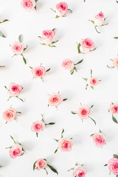 Bloemen Compositie Met Roze Roos Bloemknoppen Bladeren Patroon Textuur Witte — Stockfoto