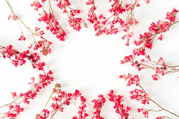 Wreath Frame Border Made Red Wildflowers Leaves Flat Lay Top — Stock Photo, Image