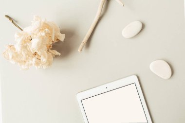 Kopya alanı, taşlar, dal ve ortanca çiçekli boş ekran tableti. Düz konum, üst görünüm minimal sosyal medya, blog, dergi şablonu.