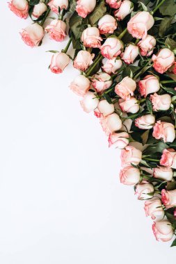 Beyaz arka planda pembe gül buketi. Düz yatış, üst manzara, Sevgililer Günü konsepti..