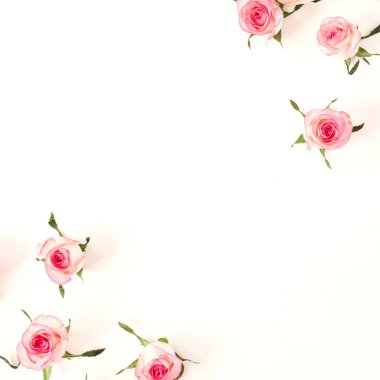 Beyaz arka planda pembe gül tomurcuklarının çerçeve sınırı. Boş fotokopi alanı oluştur. Düz konum, üst görünüm çiçek kompozisyonu.