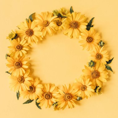 Sarı arka planda sarı papatya çiçeklerinin yuvarlak çerçeve sınırı. Boş fotokopi alanı oluştur. Düz konum, üst görünüm çiçek kompozisyonu.