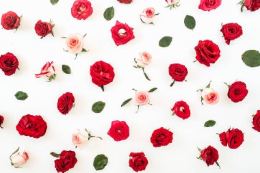 Düz kırmızı, pembe gül çiçekleri ve beyaz arka planda yapraklar vardı. Üst görünüm çiçek dokusu.