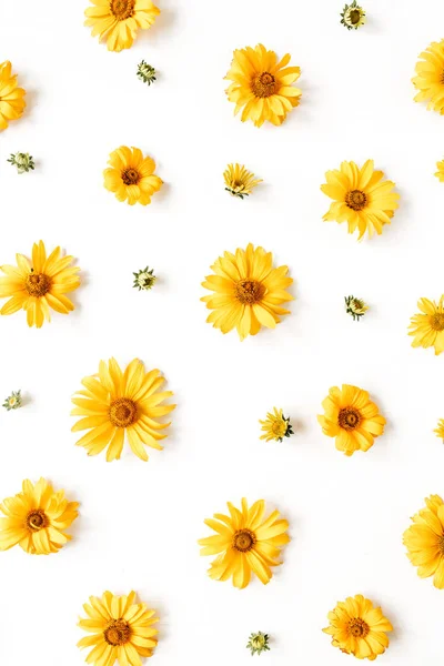 Плоский Лежачий Жовтий Візерунок Ромашкових Квіткових Бруньок Білому Тлі Вид — стокове фото