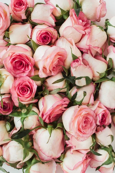 Roze Roos Bloemen Patroon Achtergrond Bovenaanzicht Bloemige Textuur — Stockfoto