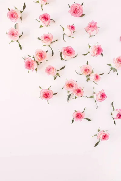 Colocación Plana Rosa Rosa Brotes Flores Hojas Patrón Sobre Fondo — Foto de Stock