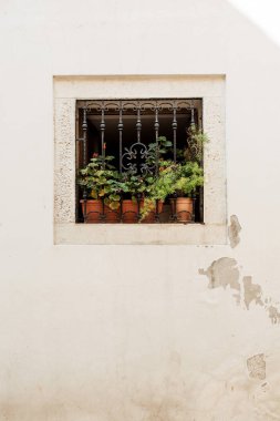 Asgari mimari konsepti. Demirden yapılmış küçük kare pencere ve beyaz bina üzerinde yeşil bitkiler olan kil kaplar. Ön görünüm. 